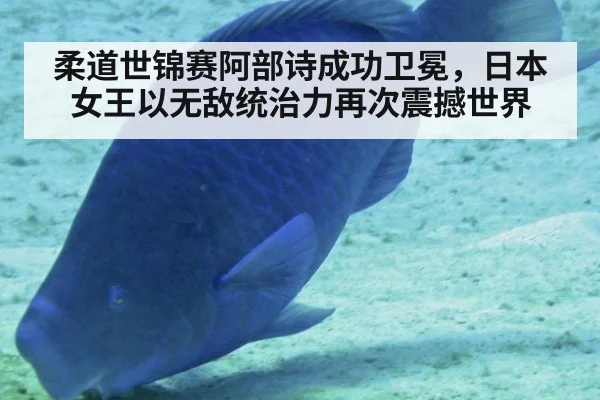 柔道世锦赛阿部诗成功卫冕,日本女王以无敌统治力再次震撼世界